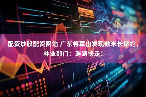 配资炒股配资网站 广东将军山发现数米长蟒蛇，林业部门：遇到快走！